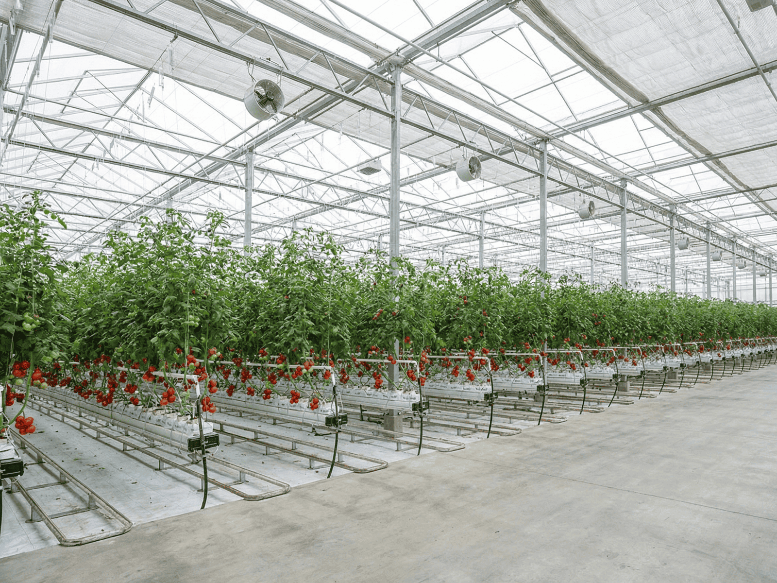 agricultural_greenhouse_final